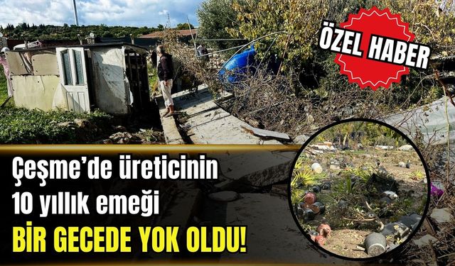 Çeşme’de bahçe bitkileri üreticisinin 10 yıllık emeği bir gecede yok oldu!