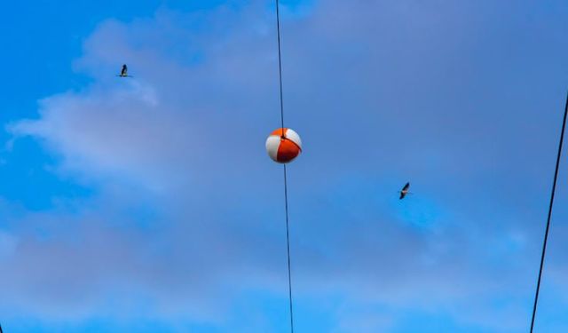 Elektrik tellerindeki kırmızı ve beyaz toplar ne işe yarıyor? Gerçek ortaya çıktı