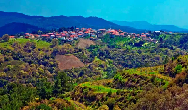 İzmir’in yeni Toscana’sı: Tepeye kurulu köyün eteklerindeki üzüm bağları cezbediyor