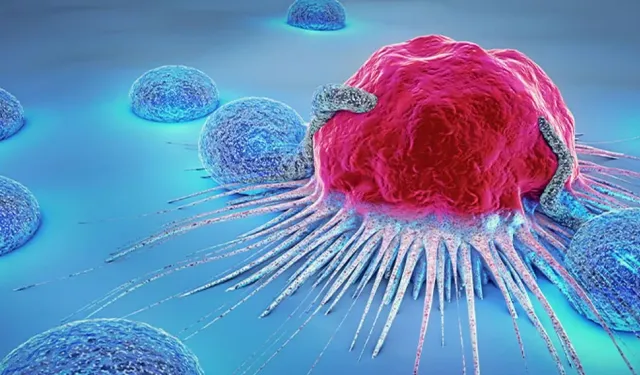 Evlilik kansere karşı kalkan mı? 4 milyon vakada çarpıcı sonuçlar
