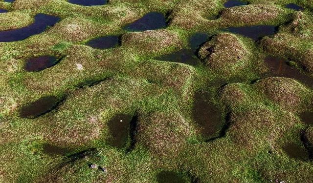 Karagöl Yaylası havadan görüntülendi, izleyen donup kaldı