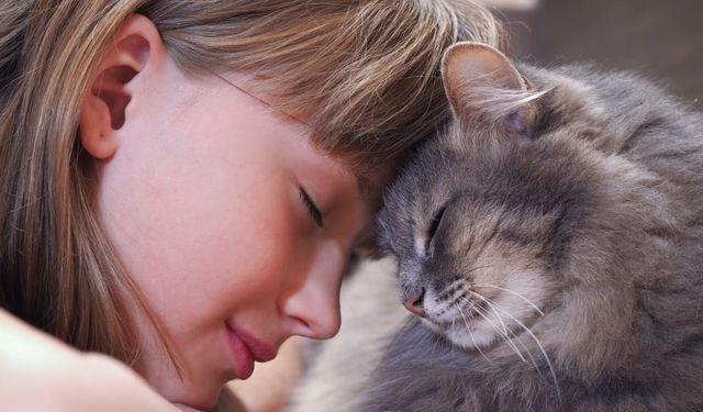 Kediniz için iyi sandığınız ama zararlı olan davranışlar!
