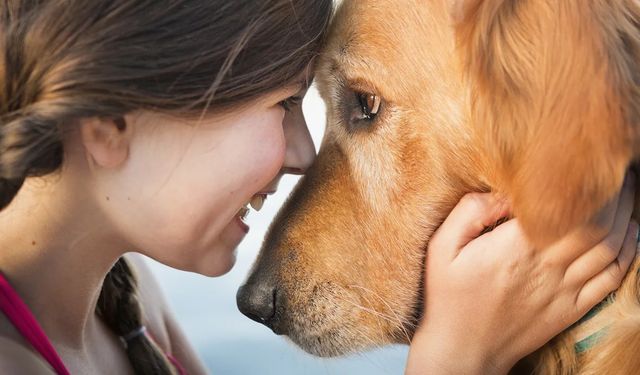 Köpek almadan önce mutlaka okumanız gereken liste! Bu 7 işaret sizde varsa köpek sahiplenmeyin