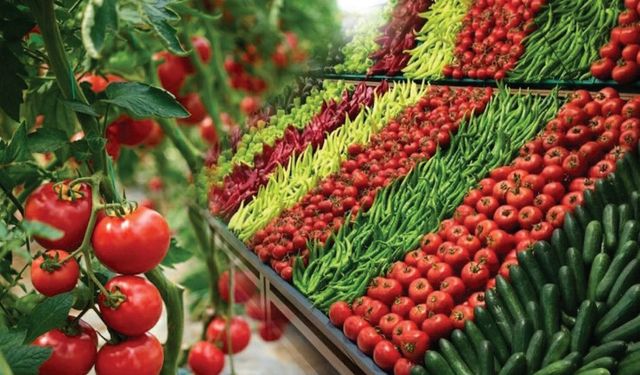 Tarlada 5 TL olan ürün markette neden 40 TL? Güncel fiyat farkı listesi