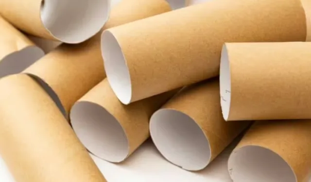 Tuvalet kağıdı rulolarını atanlar büyük hata yapıyor!