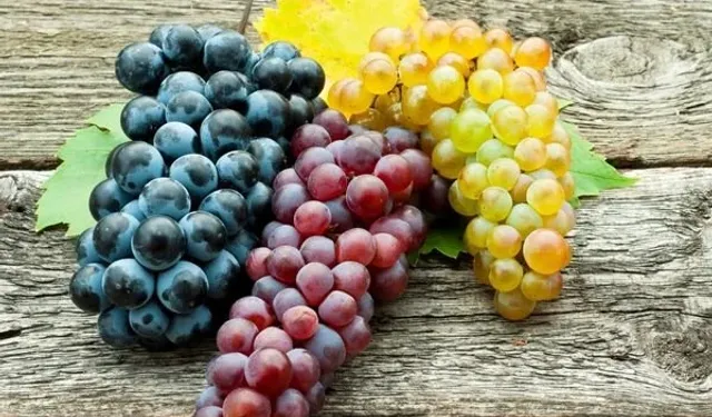 En faydalı üzüm hangisi? Bilimsel araştırma yanıtladı