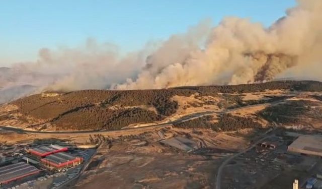 Aliağa ve Foça’daki orman yangınlarının izleri siliniyor