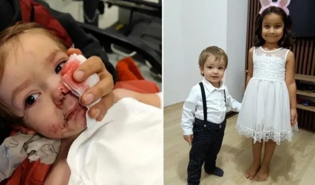 Korkunç olay! Pitbull çocuklara saldırmıştı: İşte tüm gelişmeler