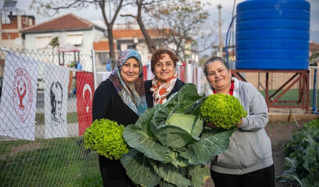 Bornova'nın kadınları kent bostanlarında üretti: Doğal sebzeler hasat edildi