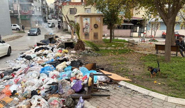Buca'da çöp dağları vatandaşı çileden çıkardı