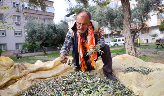 Buca’da dayanışma hasadı başladı