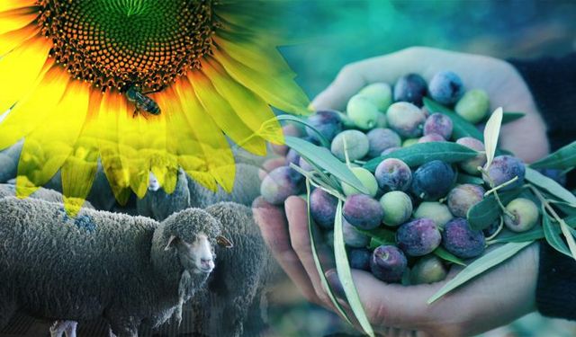 İzmir’de gün boyu sürecek zirve