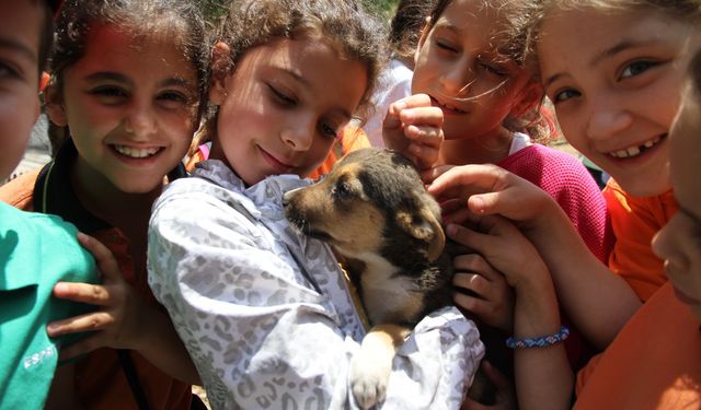 Karşıyaka’da 1 yılda 40 bin hayvanın hayatını değiştiren proje!