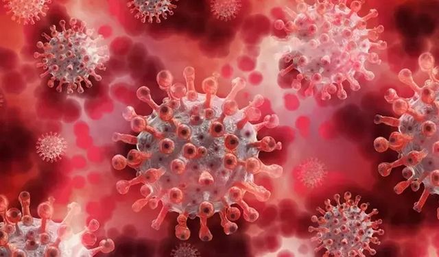 2026’da yeni virüs alarmı: Bilim insanları olası küresel tehditleri yakından izliyor