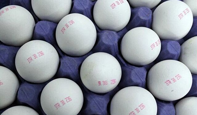 Yumurta kodları ne anlama geliyor? 0-1-2-3 numaralı yumurtaların farkları