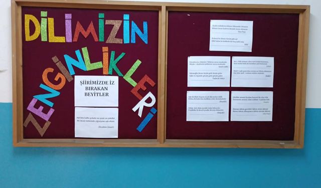 Selçuk Şehit Erol Olçok Anadolu Lisesi | DİLİMİZİN ZENGİNLİKLERİ: ŞİİRİMİZDE İZ BIRAKAN BEYİTLER