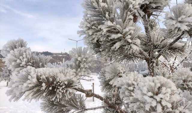 Doğu’da kış sert yüzünü gösterdi: Buz kesti!