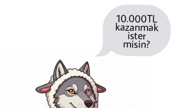 Selçuk Şehit Erol Olçok Anadolu Lisesi | BİR MESAJ BİR TUZAK