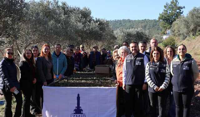 Cemil Tugay düğmeye bastı: Menderes’te salep üretimi başlıyor