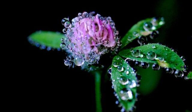 Bahar geldi: Cemre toprağa düştü!