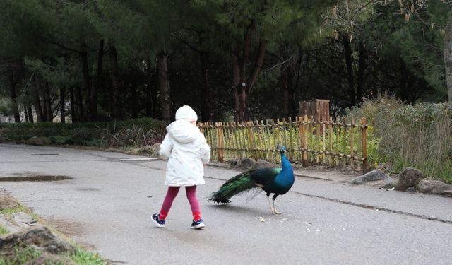 Çiğli Belediyesi’nden yarıyıl tatilinde çocuklara özel etkinlik