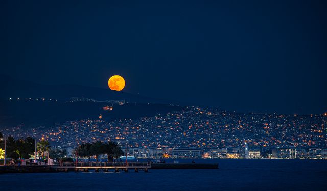 Fotoğraf tutkunlarına hatırlatma: Son başvuru 8 Şubat!