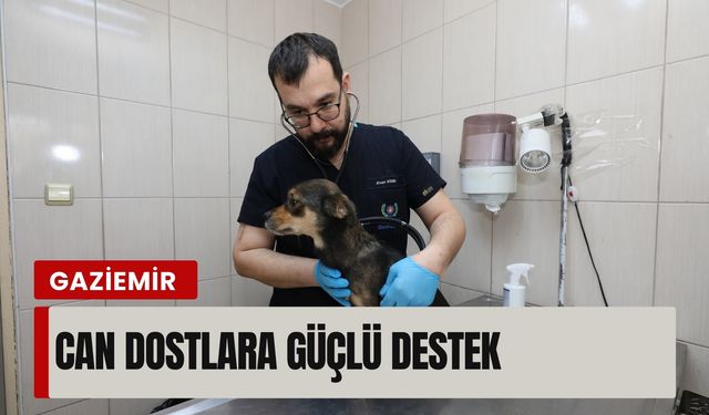 Gaziemir'de can dostlara güçlü destek: 6 bin 222 hayvana umut oldu
