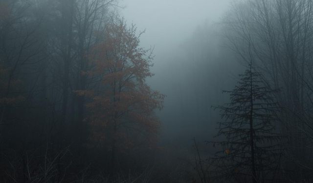 Şehit Mehmet Kıvık Anadolu Lisesi | UĞURSUZ GRİLER