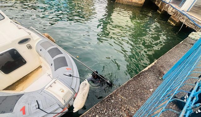 İskele altından gelen ses herkesi alarma geçirdi!