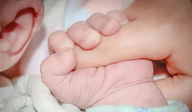 Tüp bebek tedavisinde kritik uyarı!