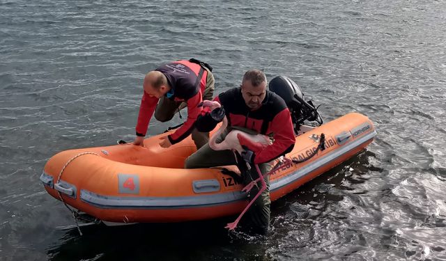 İtfaiye dalgıçlarından doğaya hayat veren operasyon