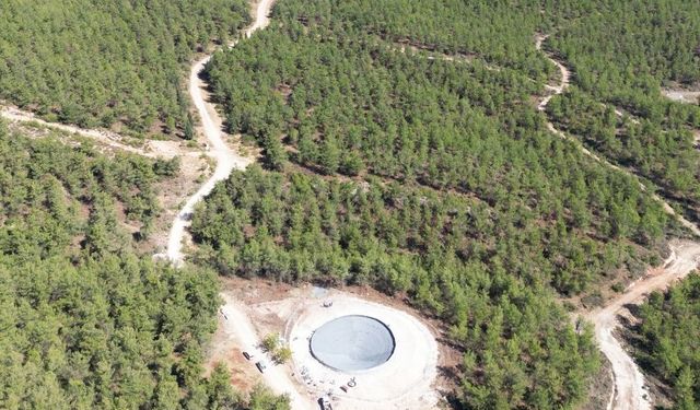 ORMANCILIK HİZMETLERİ ALINACAKTIR