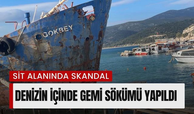İzmir’in gözde koyunda skandal: Demircili Sahili’nde kaçak hurda gemi operasyonu!