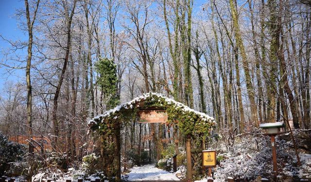 Kar yağdı, Ormanya’nın çehresi tamamen değişti