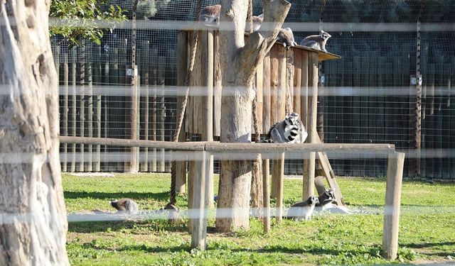 Menderes’te tatil eğlenceye dönüştü