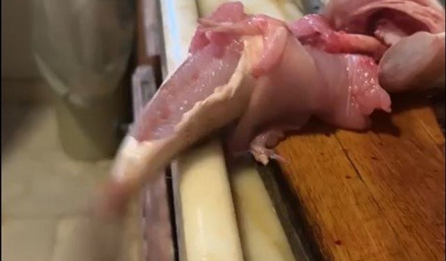 Mutfakta korku dolu anlar! Balık hareket etti, çorbayı içemedi