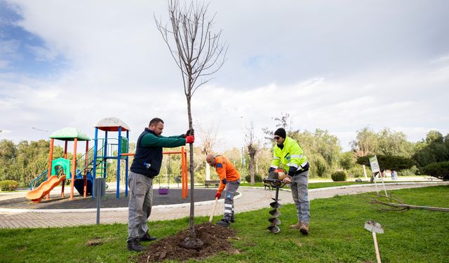 Narlıdere’de peyzaj atağı: İlçenin çehresi yenileniyor