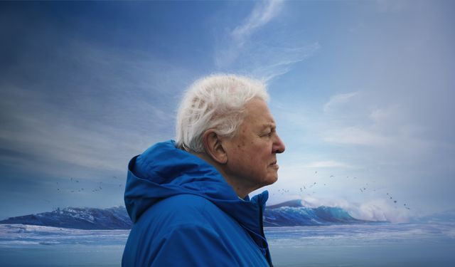 David Attenborough’nun sesinden büyüleyici deniz yolculuğu İzmir’de!