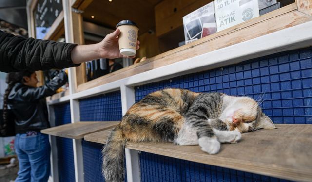 Öğrencilerin gözdesi oldu! İzmirli Kahve büyüyor