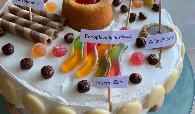 Şehit Üsteğmen Mehmet Sakallı AİHL |  Hayvan hücresini pastayla öğreniyoruz !