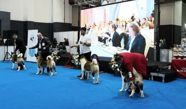 PET İZMİR 2026’ya 60 ülkeden ziyaretçi akını