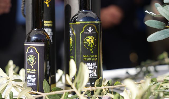 Torbalı’da zeytin hasadı markaya dönüştü