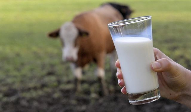 TÜİK açıkladı: Süt üretimi kasım ayında geriledi, raf ürünleri üretimi güçlü kaldı