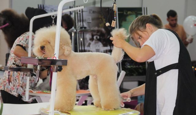 Pet İzmir 2026 başlıyor