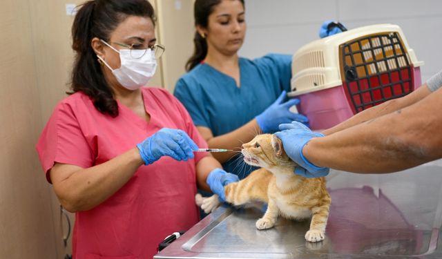 Bornova’daki bu merkez konuşuluyor