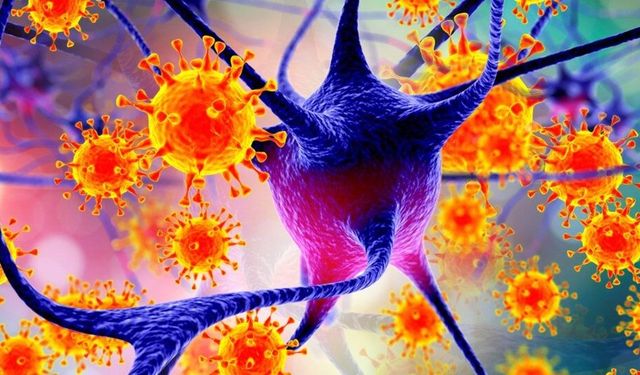 Yeni salgın mı geliyor? Grip gibi başlıyor, komaya sokuyor! DSÖ’den Nipah virüsü uyarısı