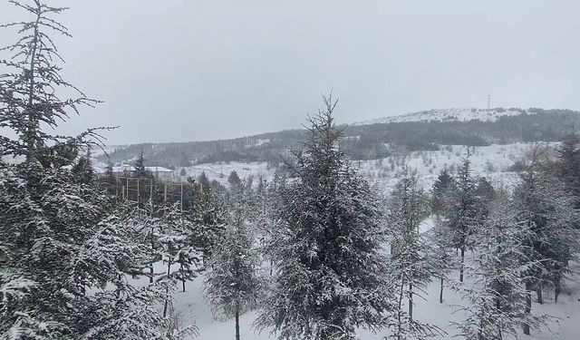 Yozgat beyaza büründü