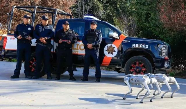 Meksika'da Dünya Kupası öncesi teknolojik önlem: Robot köpekler göreve başladı