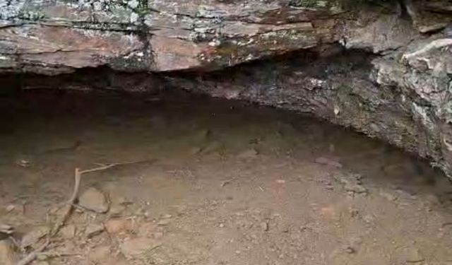 İzmir'de 35 yıl sonra yeniden canlandı