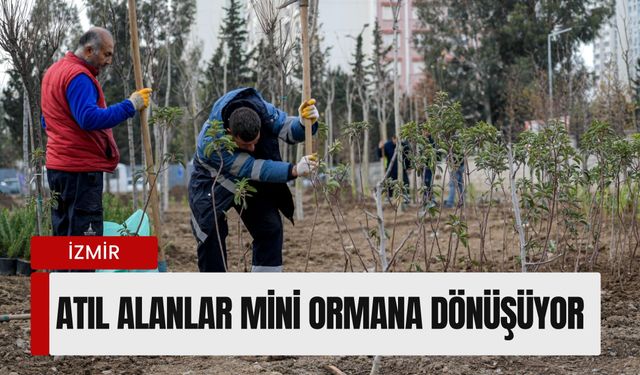 Atıl alanlar mini ormana dönüşüyor: Kent içinde binlerce ağaç toprakla buluştu